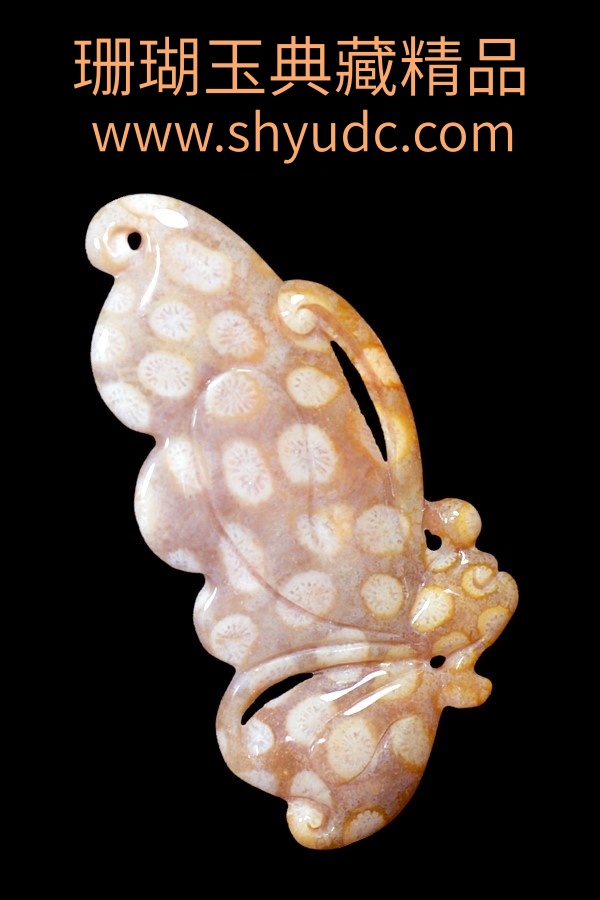 ��ص�̹Ҽ�