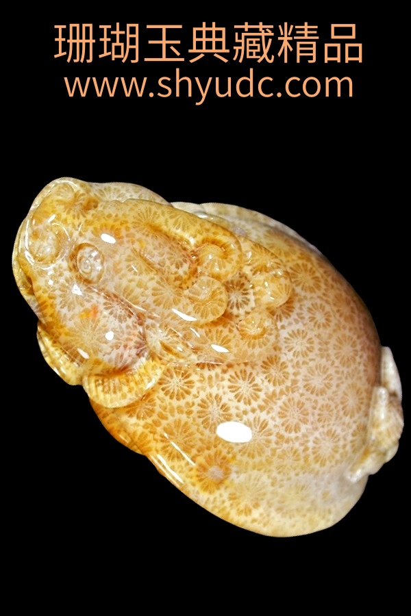 ��ؾ�Ʒ�ڼ�