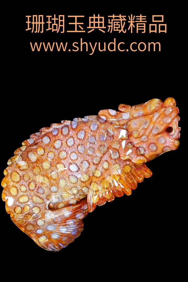 ��ؾ�Ʒ�ڼ�