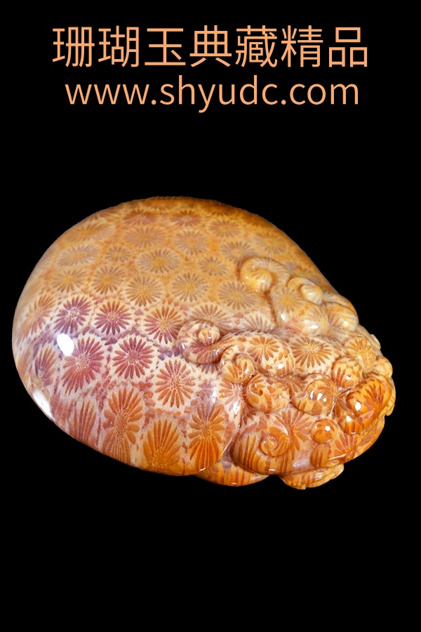 ��ؾ�Ʒ�ڼ�