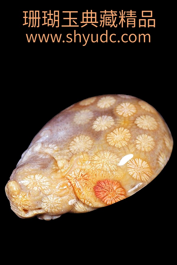 ��ؾ�Ʒ�ڼ�