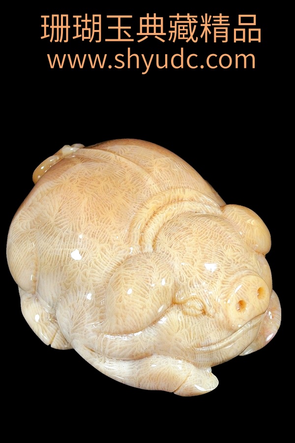 ��ؾ�Ʒ�ڼ�