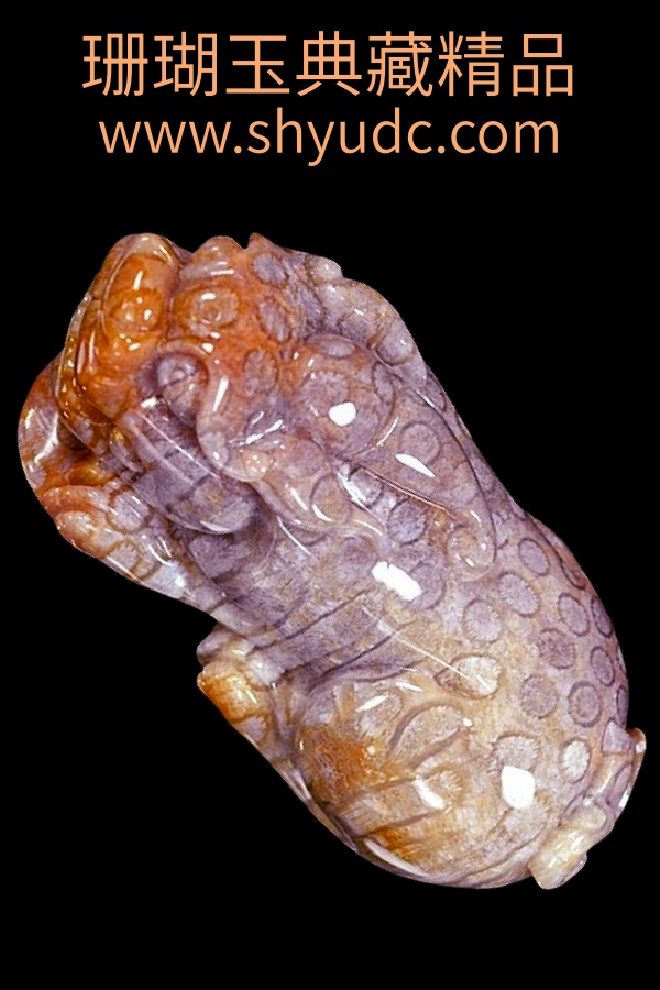 ��ؾ�Ʒ�ڼ�