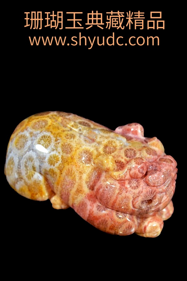 ��ؾ�Ʒ�ڼ�