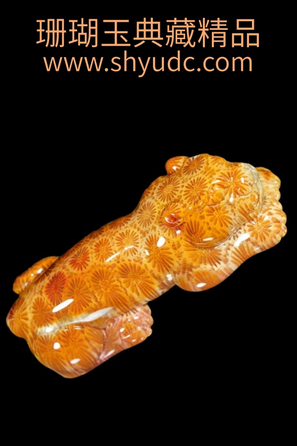 ��ؾ�Ʒ�ڼ�
