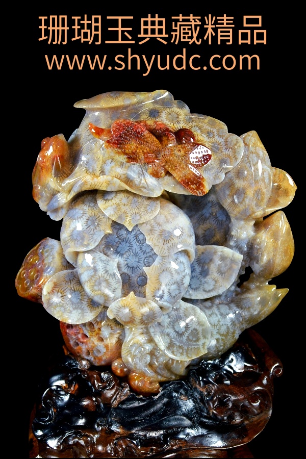 ��ؾ�Ʒ�ڼ�
