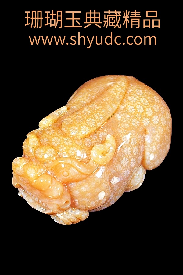 ��ؾ�Ʒ�ڼ�