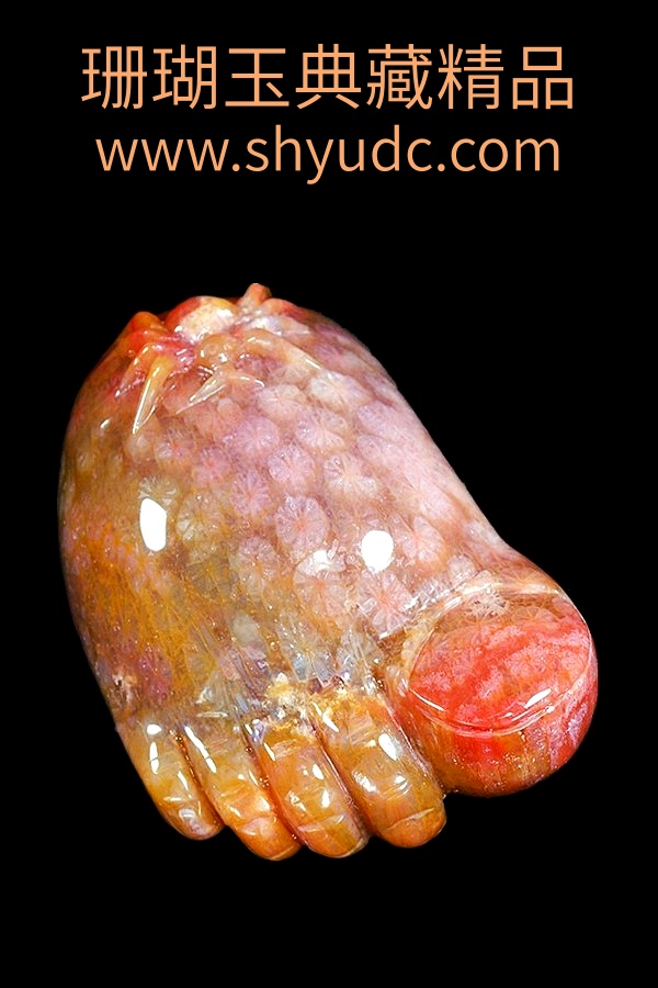 ��ؾ�Ʒ�ڼ�