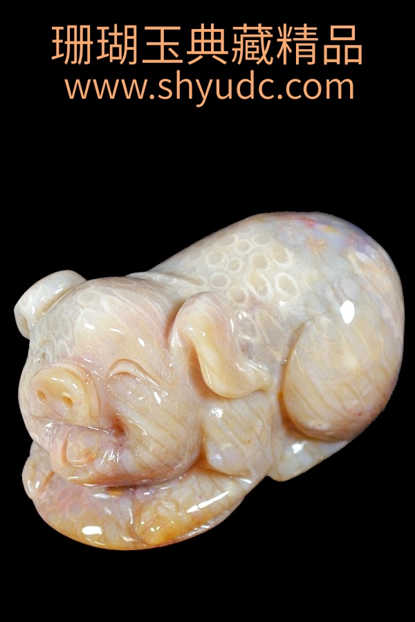 ��ؾ�Ʒ�ڼ�
