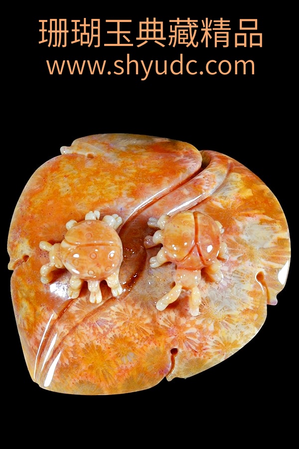 ��ؾ�Ʒ�ڼ�
