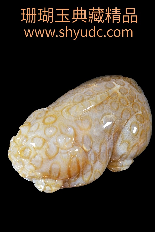 ��ؾ�Ʒ�ڼ�