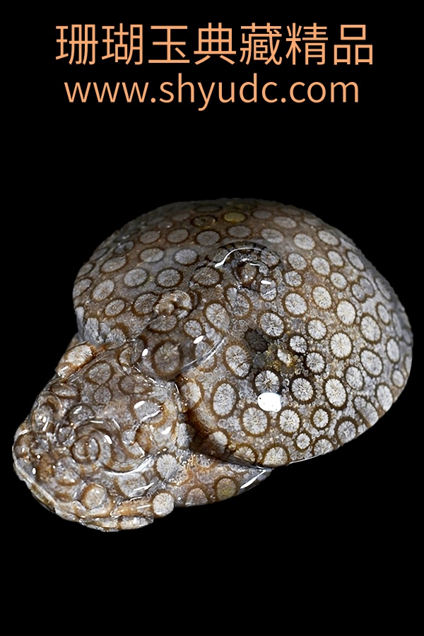 ��ؾ�Ʒ�ڼ�