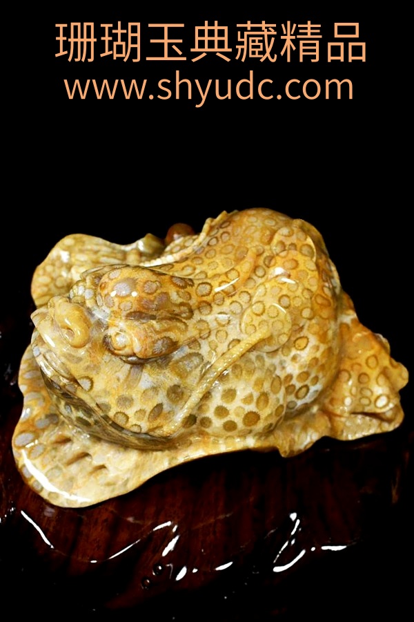 ��ؾ�Ʒ�ڼ�