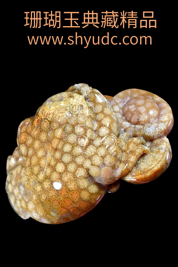��ؾ�Ʒ�ڼ�