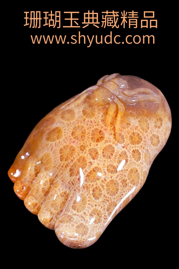 ��ؾ�Ʒ�ڼ�