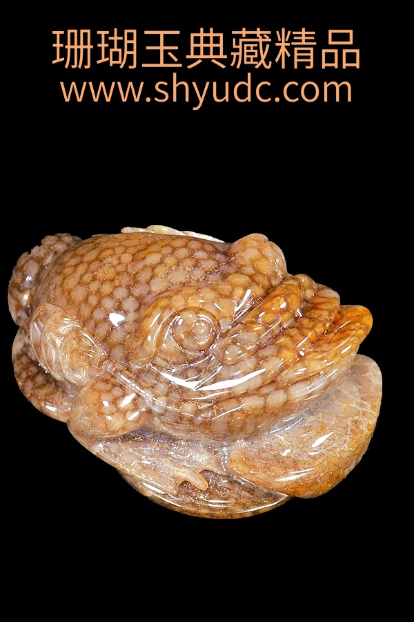 ��ؾ�Ʒ�ڼ�