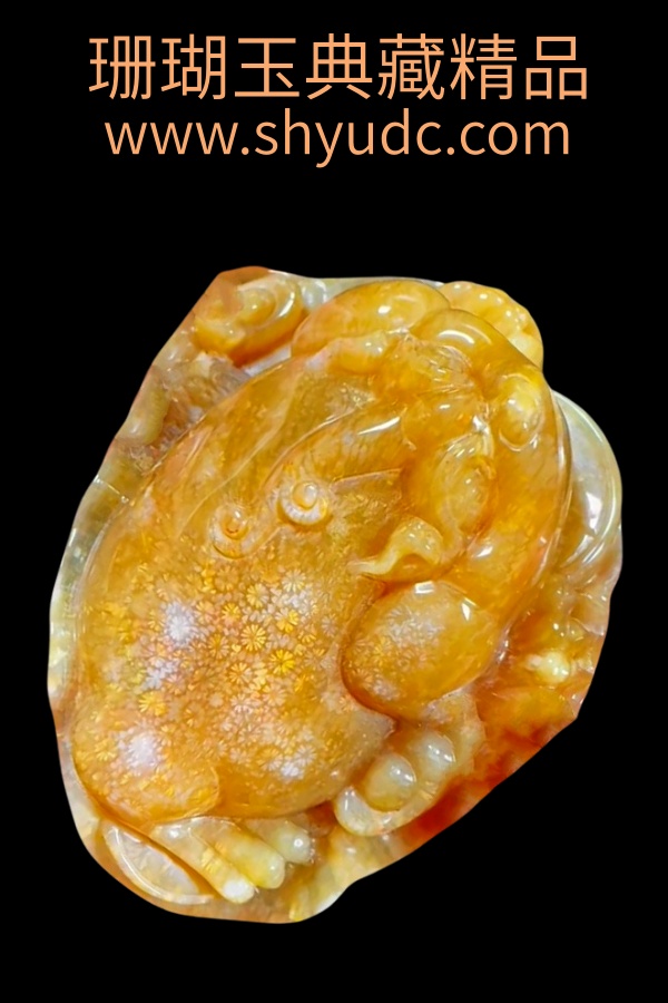 ��ؾ�Ʒ�ڼ�