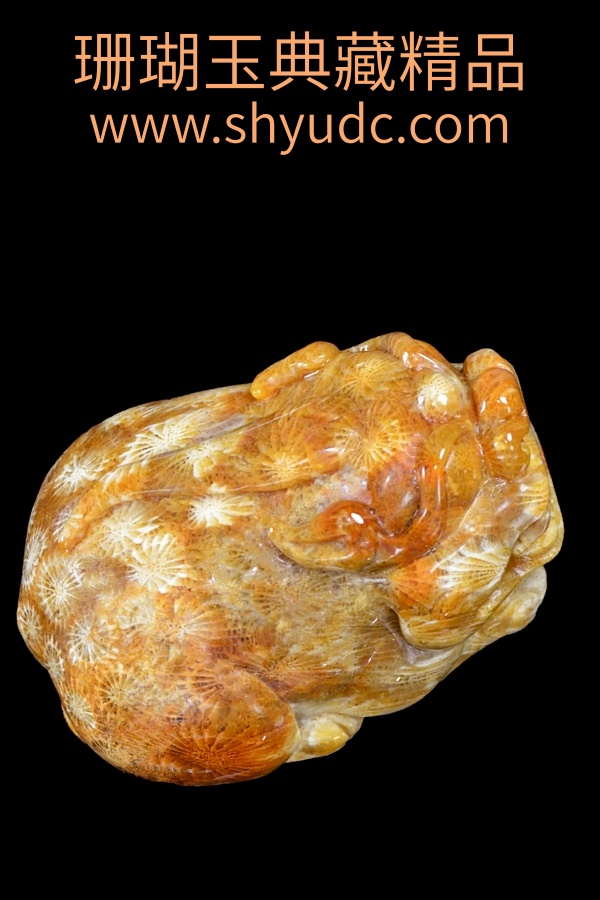 ��ؾ�Ʒ�ڼ�