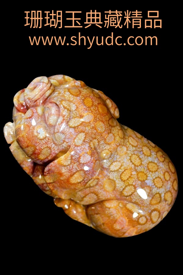 ��ؾ�Ʒ�ڼ�