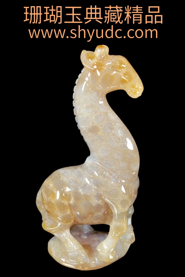 ��ؾ�Ʒ�ڼ�