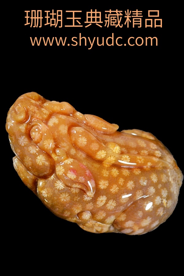 ��ؾ�Ʒ�ڼ�