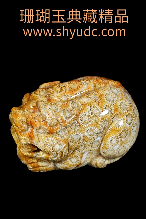 ��ؾ�Ʒ�ڼ�