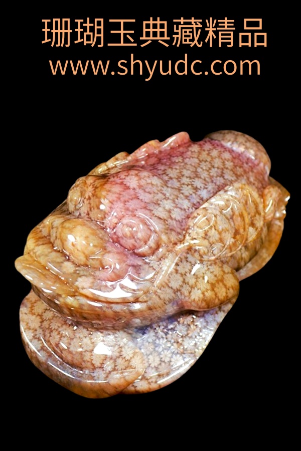 ��ؾ�Ʒ�ڼ�