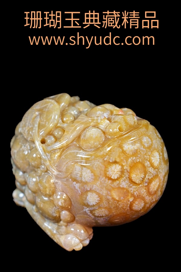 ��ؾ�Ʒ�ڼ�