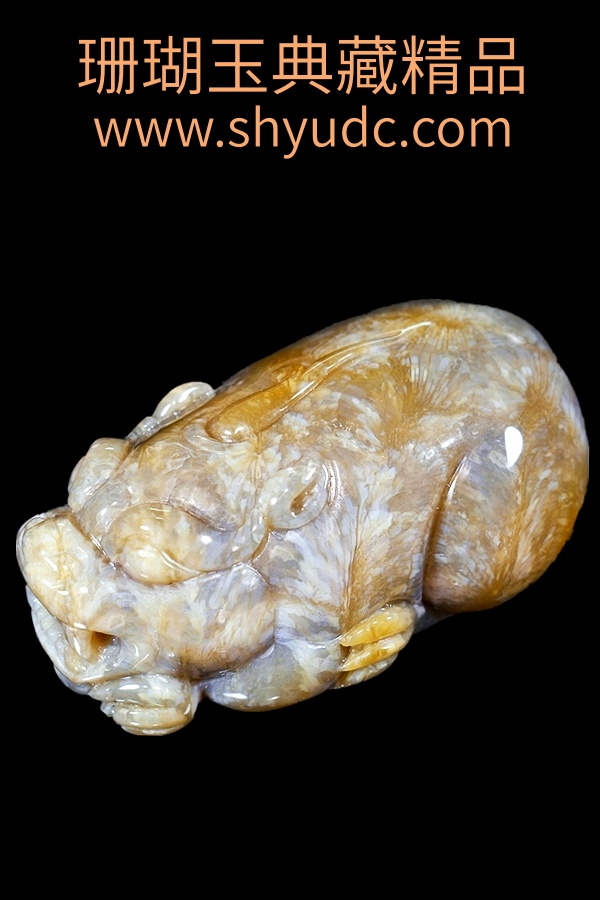��ؾ�Ʒ�ڼ�