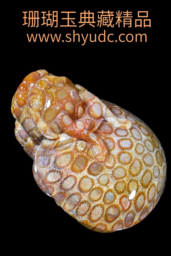 ��ؾ�Ʒ�ڼ�