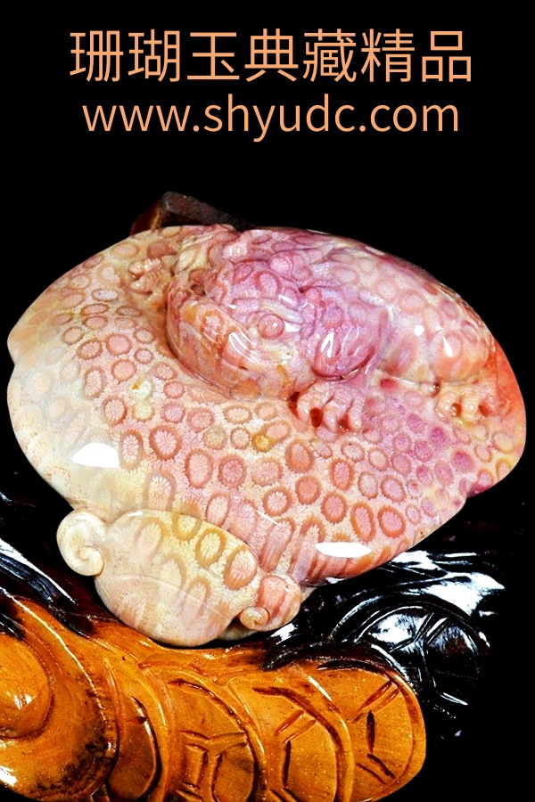 ��ؾ�Ʒ�ڼ�