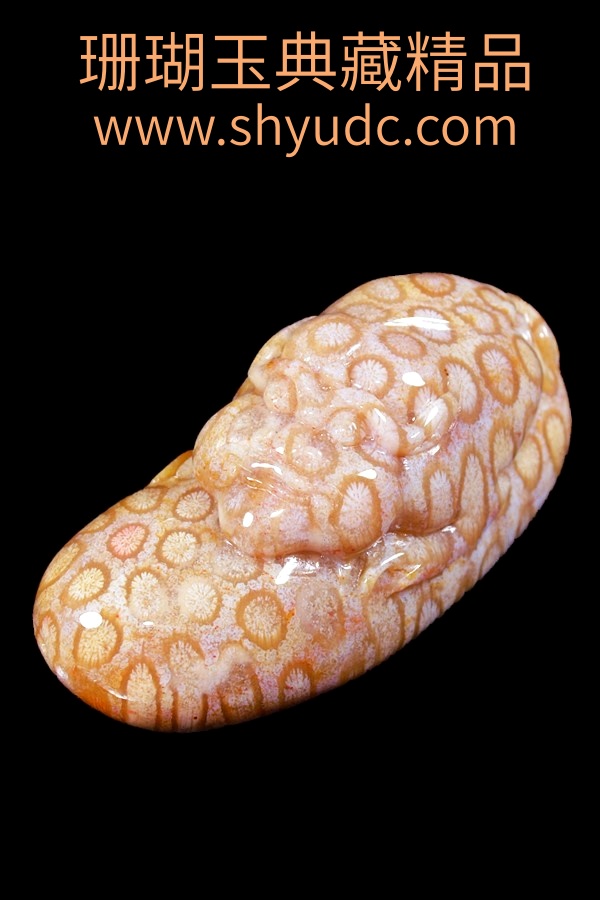 ��ؾ�Ʒ�ڼ�