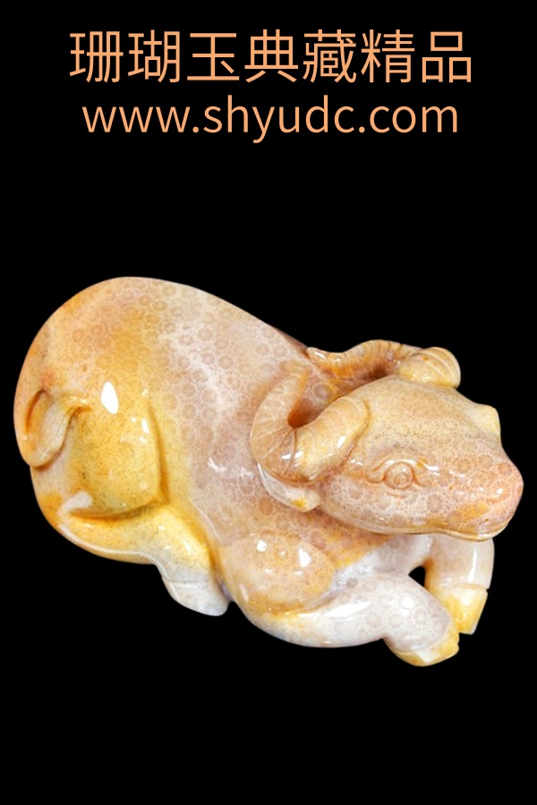 ��ؾ�Ʒ�ڼ�