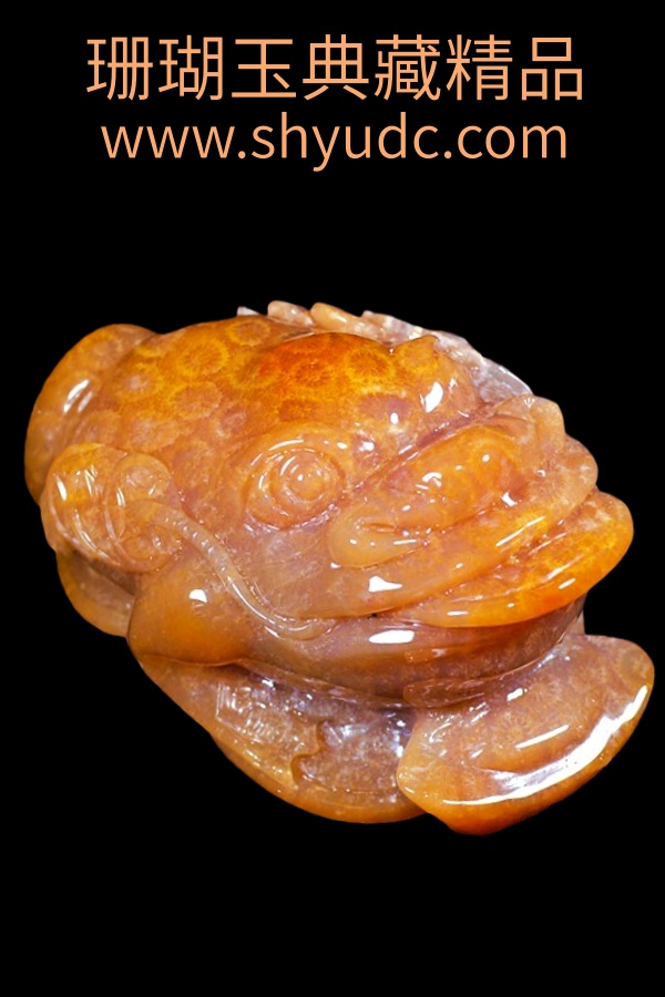 ��ؾ�Ʒ�ڼ�