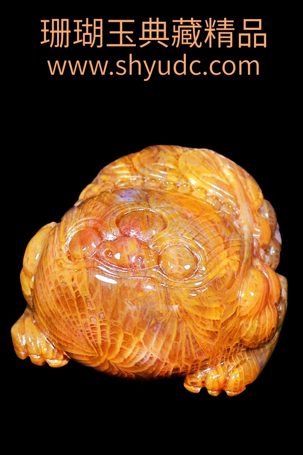 ��ؾ�Ʒ�ڼ�