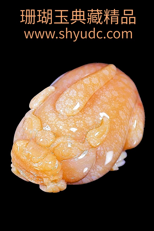 ��ؾ�Ʒ�ڼ�