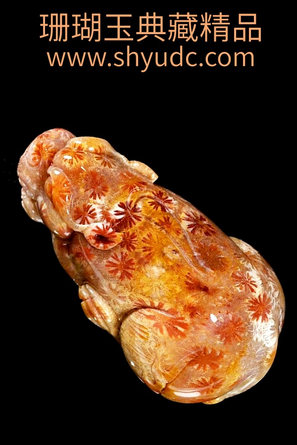 ��ؾ�Ʒ�ڼ�