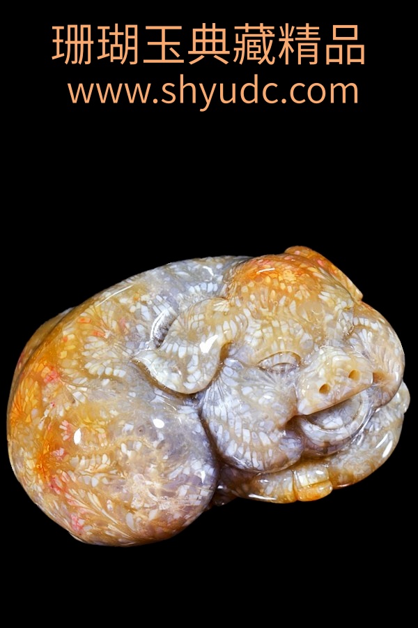 ��ؾ�Ʒ�ڼ�