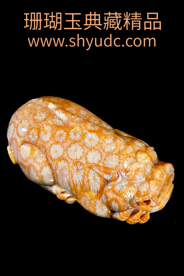 ��ؾ�Ʒ�ڼ�