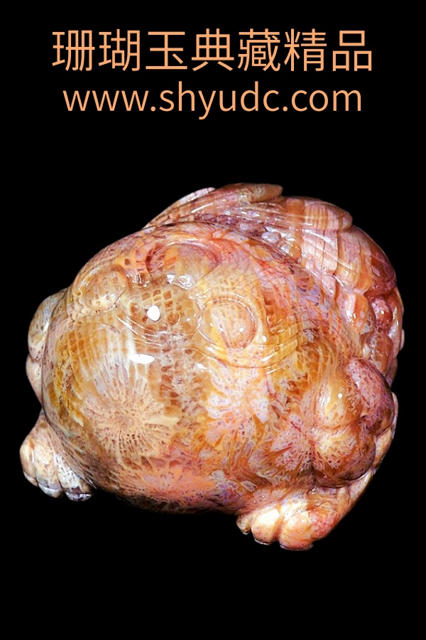 ��ؾ�Ʒ�ڼ�
