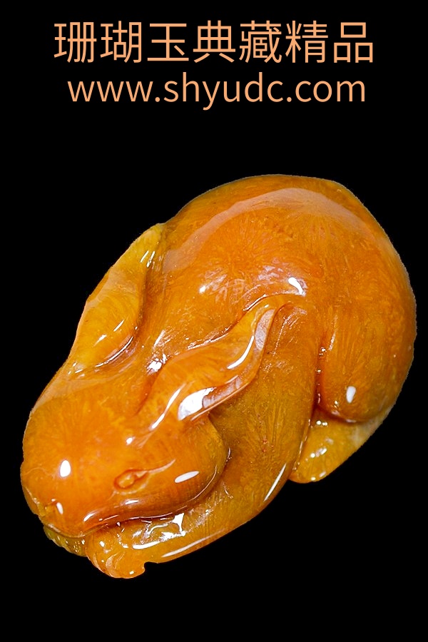 �������Ʒ