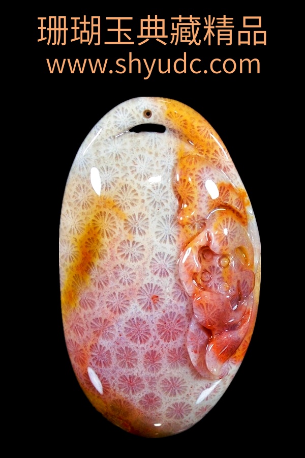 ��ص�̹Ҽ�