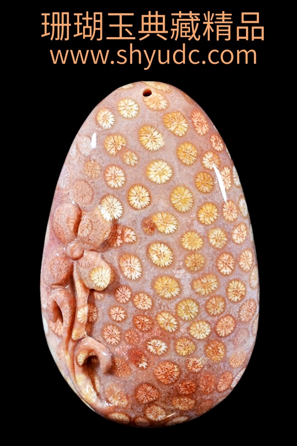 ��ص�̹Ҽ�